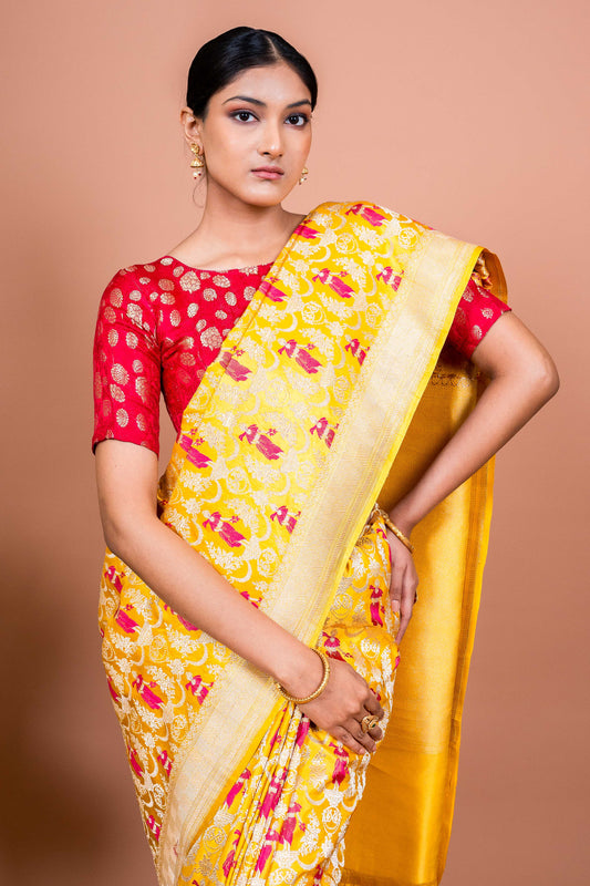 Apsara Bagh Handwoven Banaras Saree