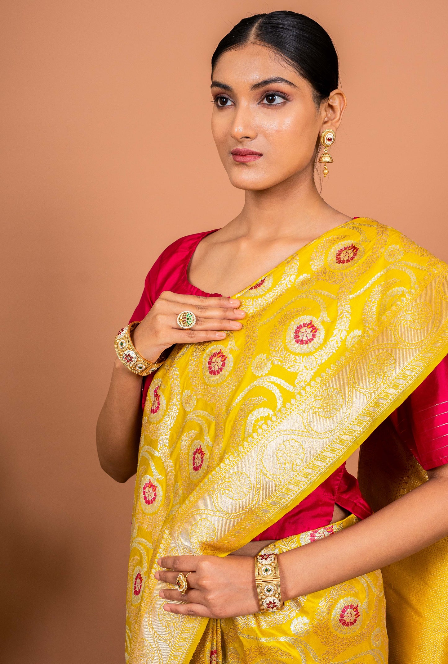 Kaner Jaal Handwoven Banaras Saree