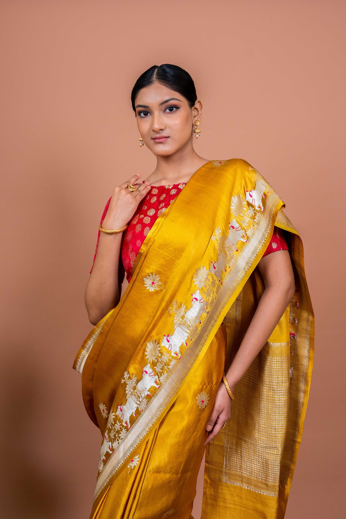 Nandi Handwoven Banaras Saree