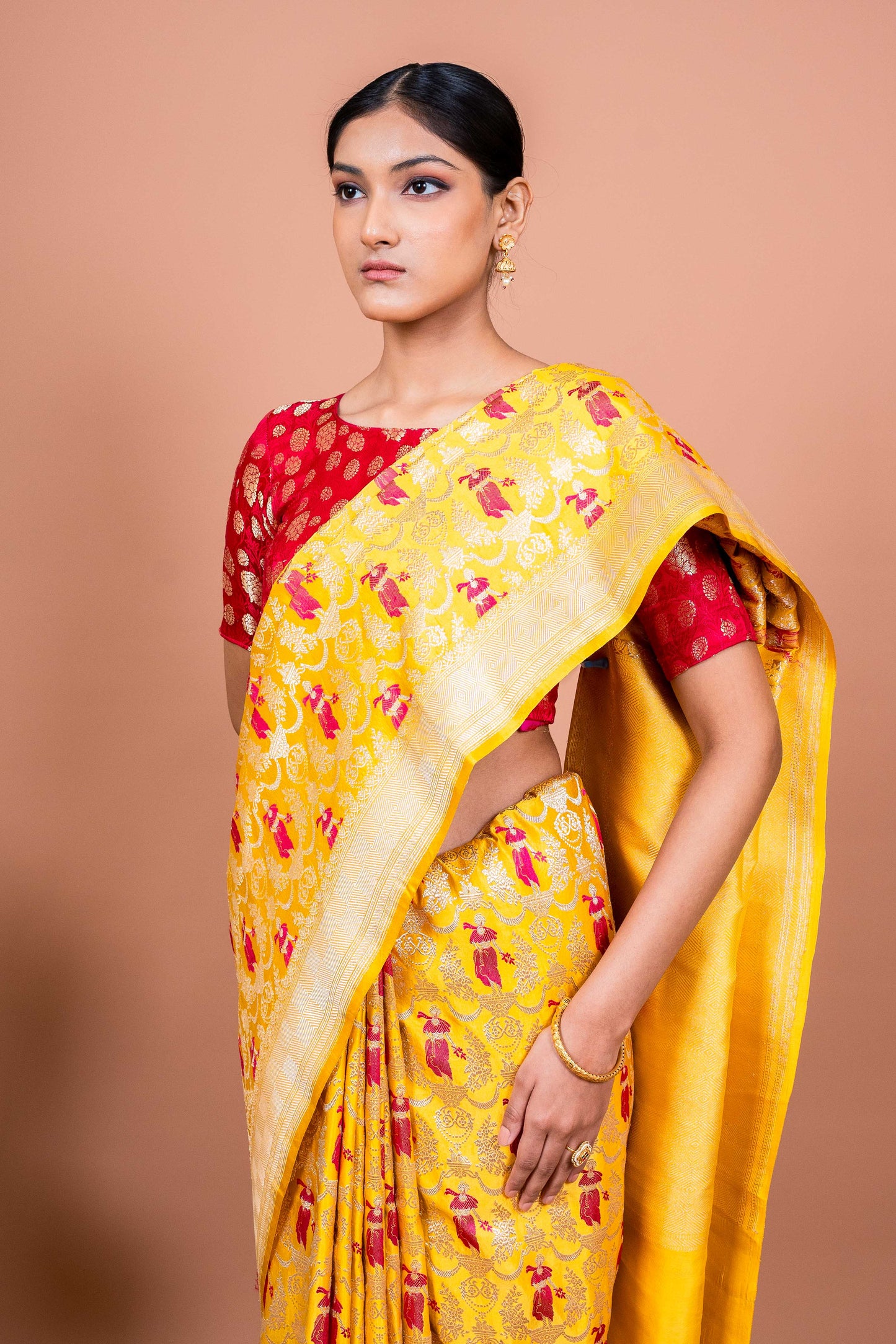 Apsara Bagh Handwoven Banaras Saree