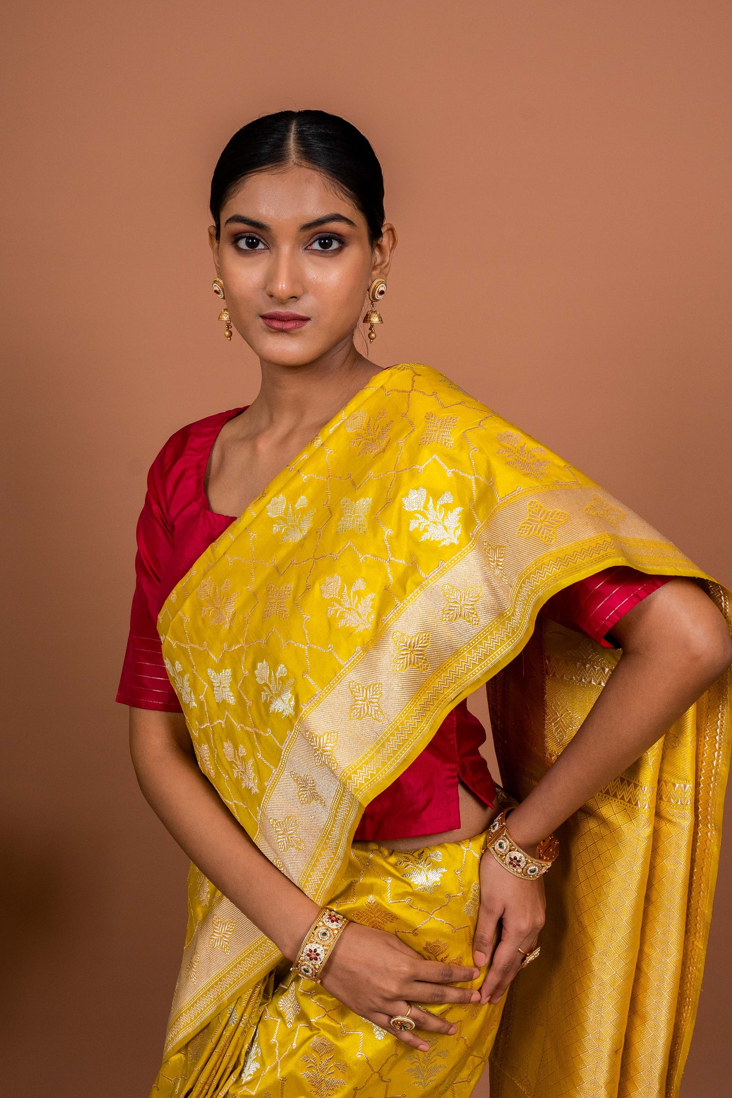 Taara Jaal Handwoven Banaras Saree