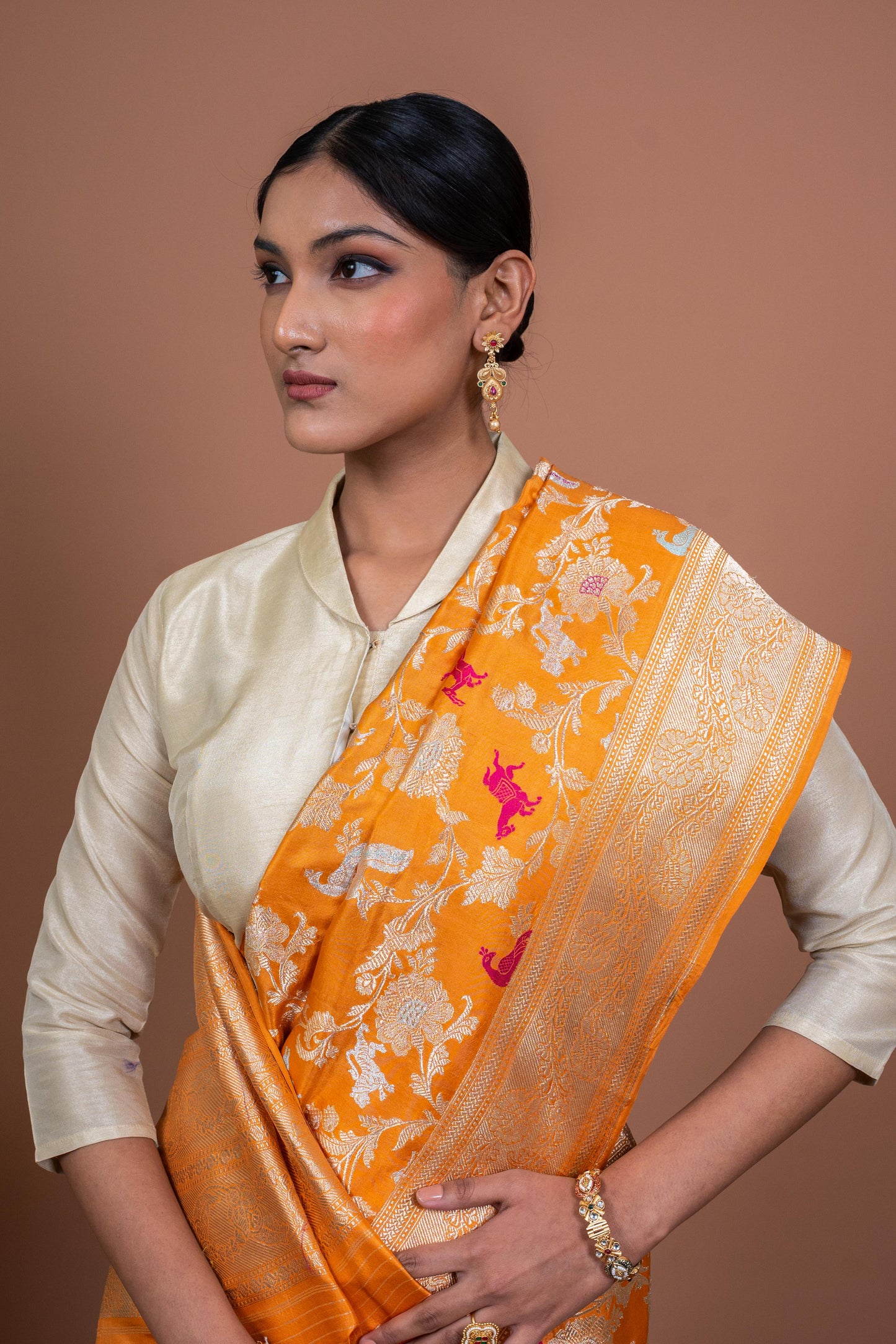 Shikargah Jaal Handwoven Banaras Saree