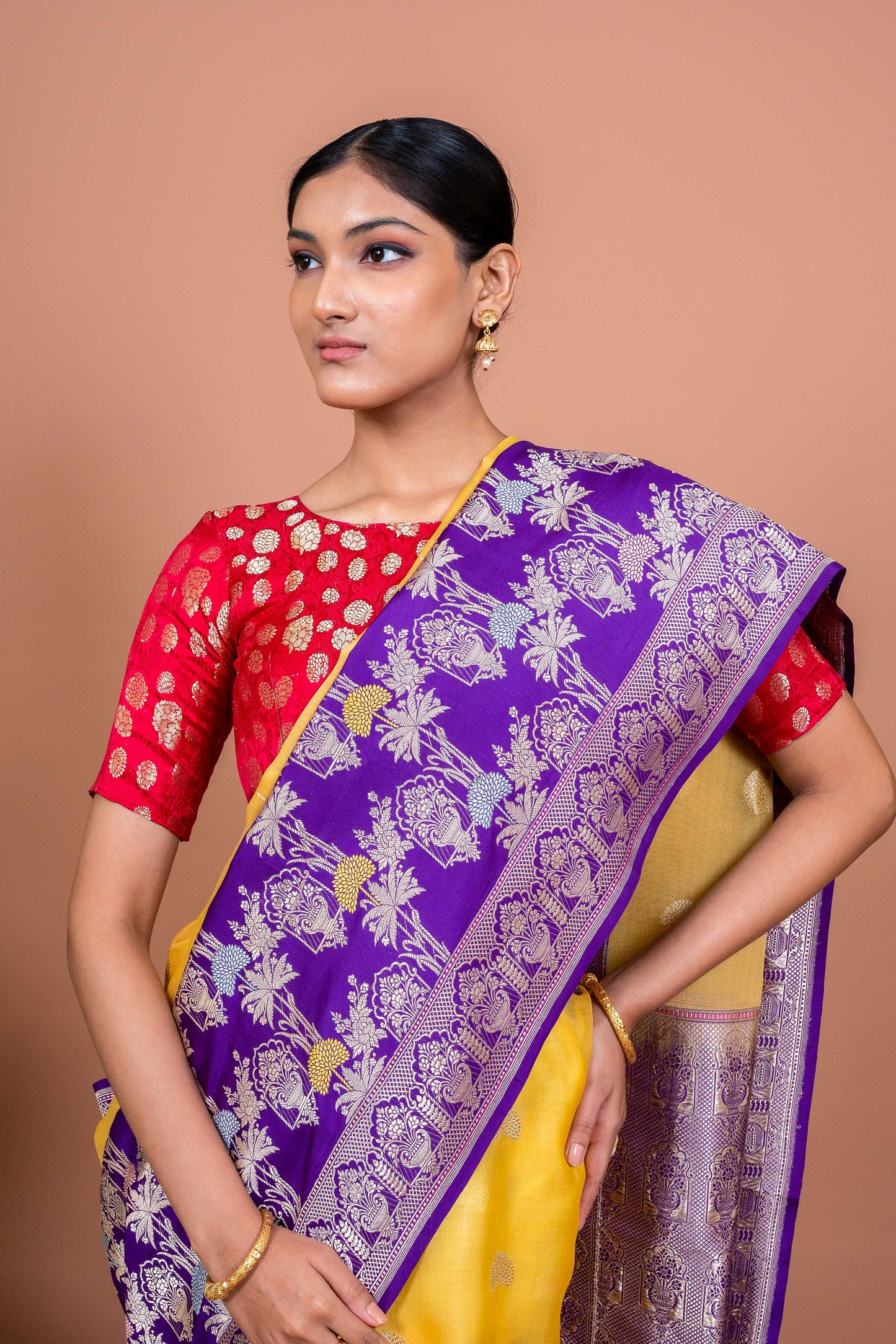 Kora Kataan Jaal Handwoven Banaras Saree