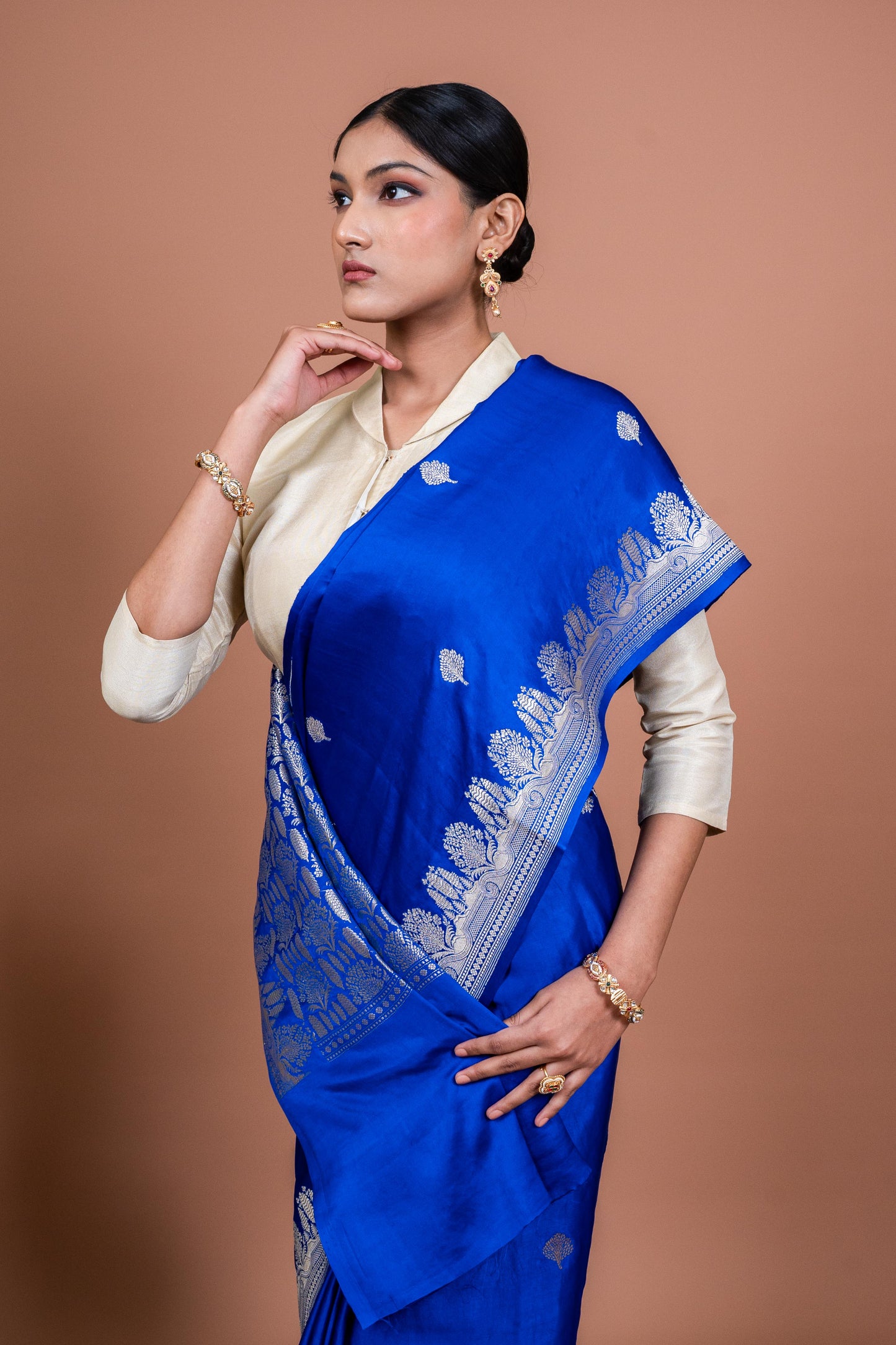 Sindh Handwoven Banaras Saree