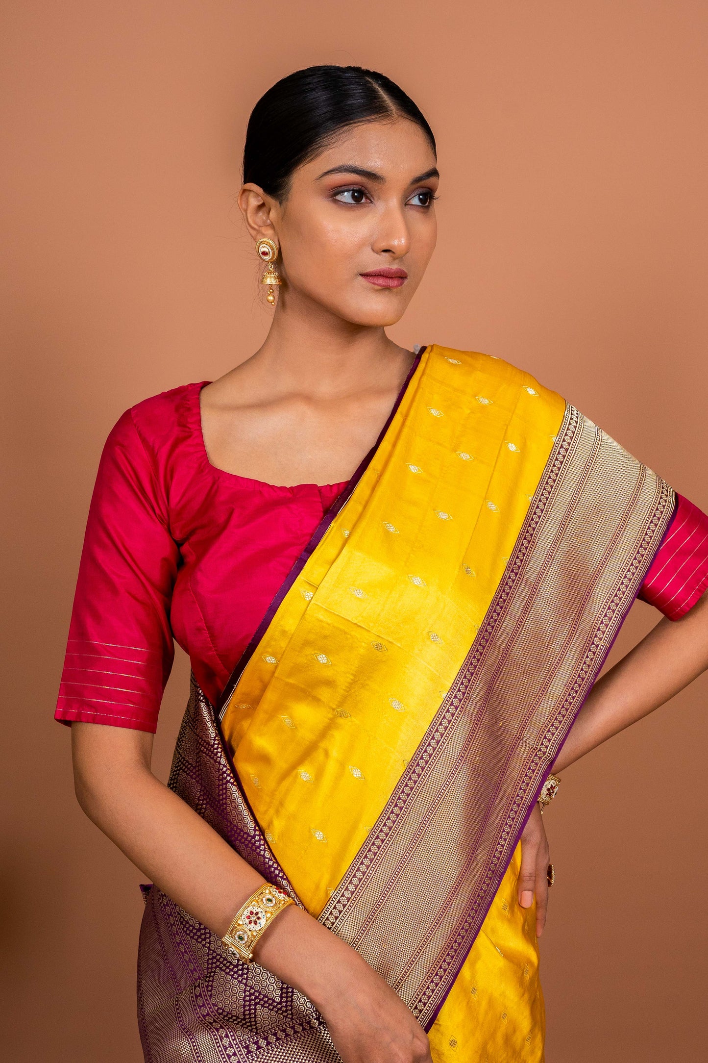 Kadhiyal Handwoven Banaras Saree