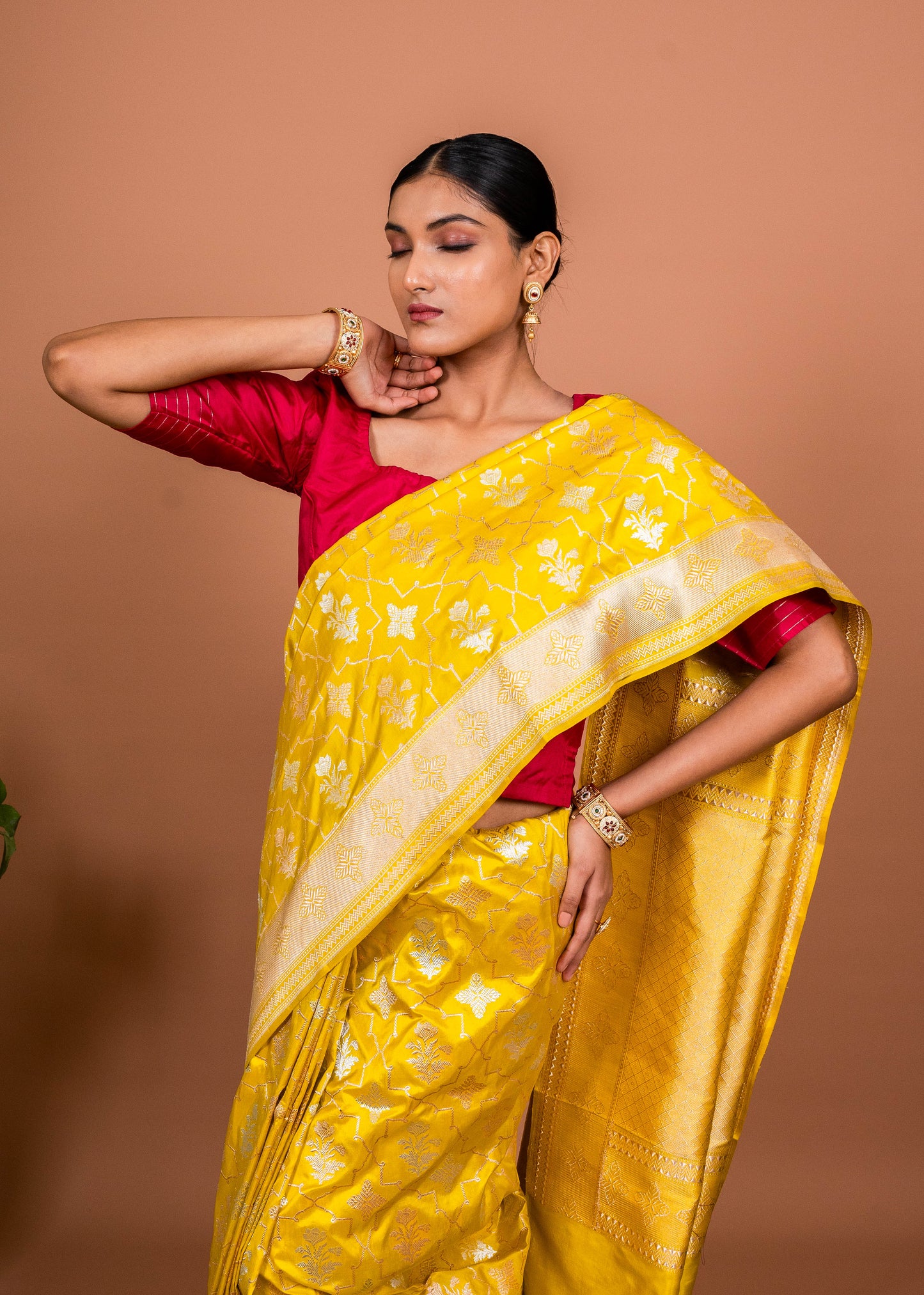 Taara Jaal Handwoven Banaras Saree