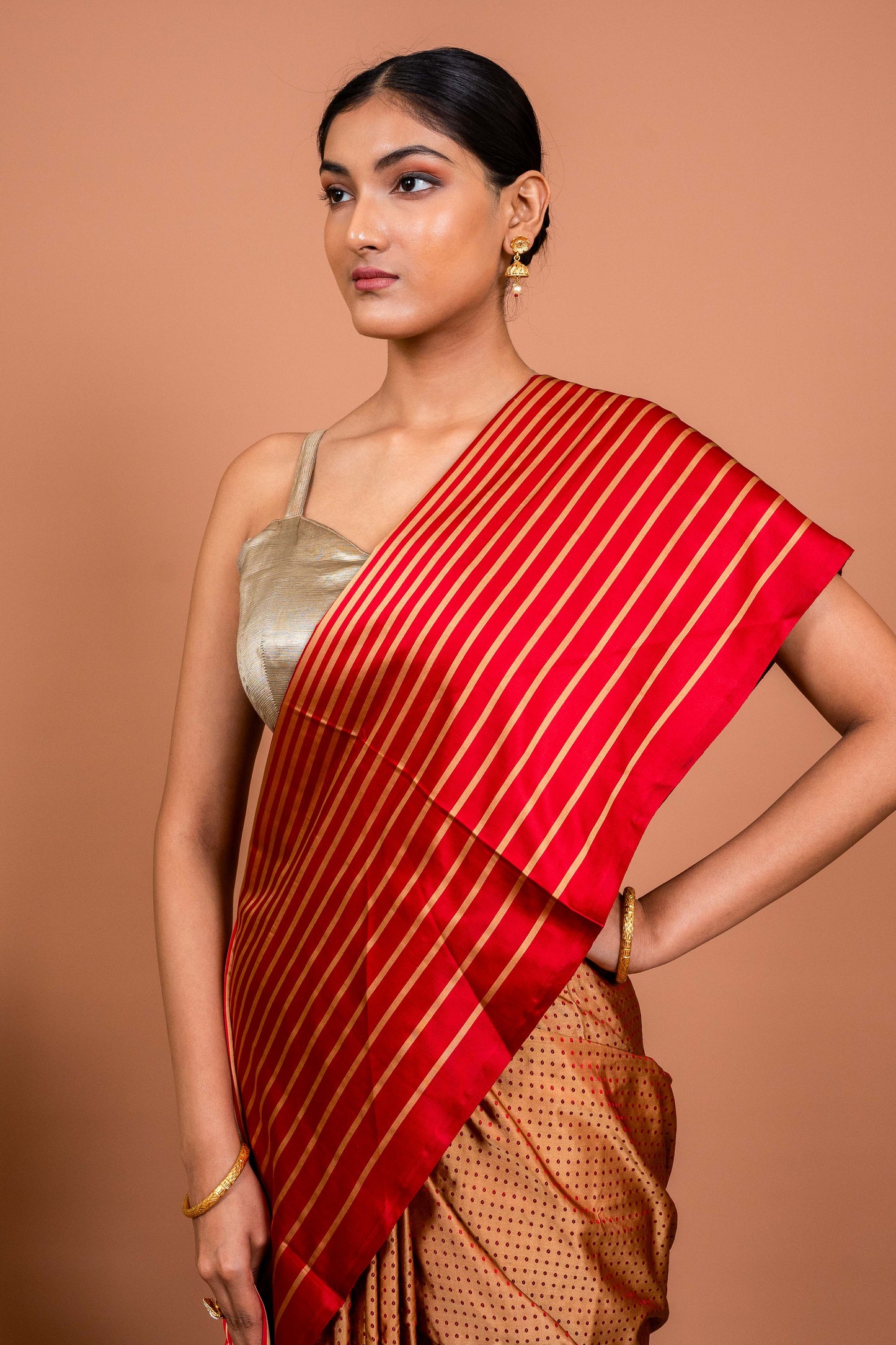 Dot and Stripes Handwoven Banaras Saree
