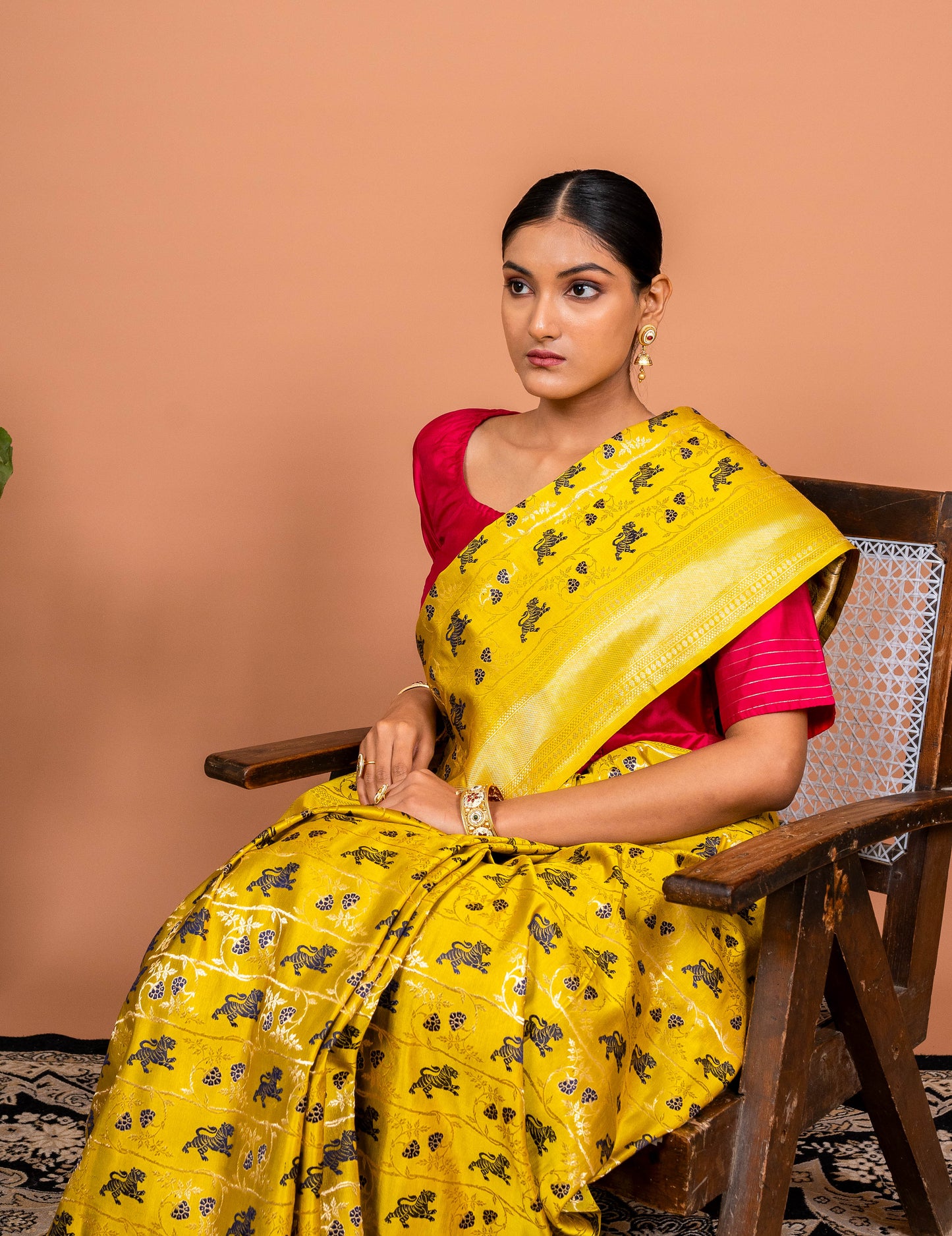Shikagah Tanchhoi Handwoven Banaras Saree