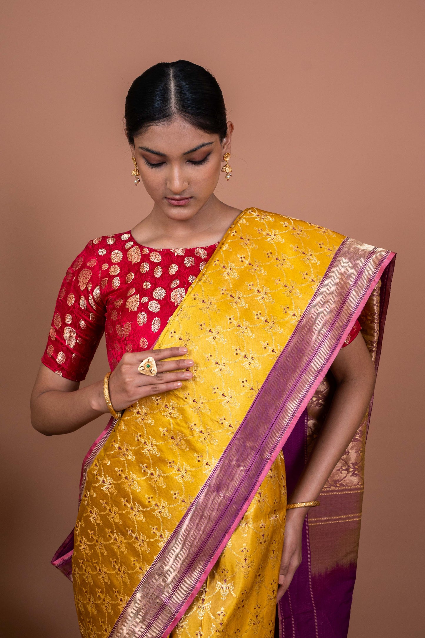 Mehraab Jaal Handwoven Banaras Saree