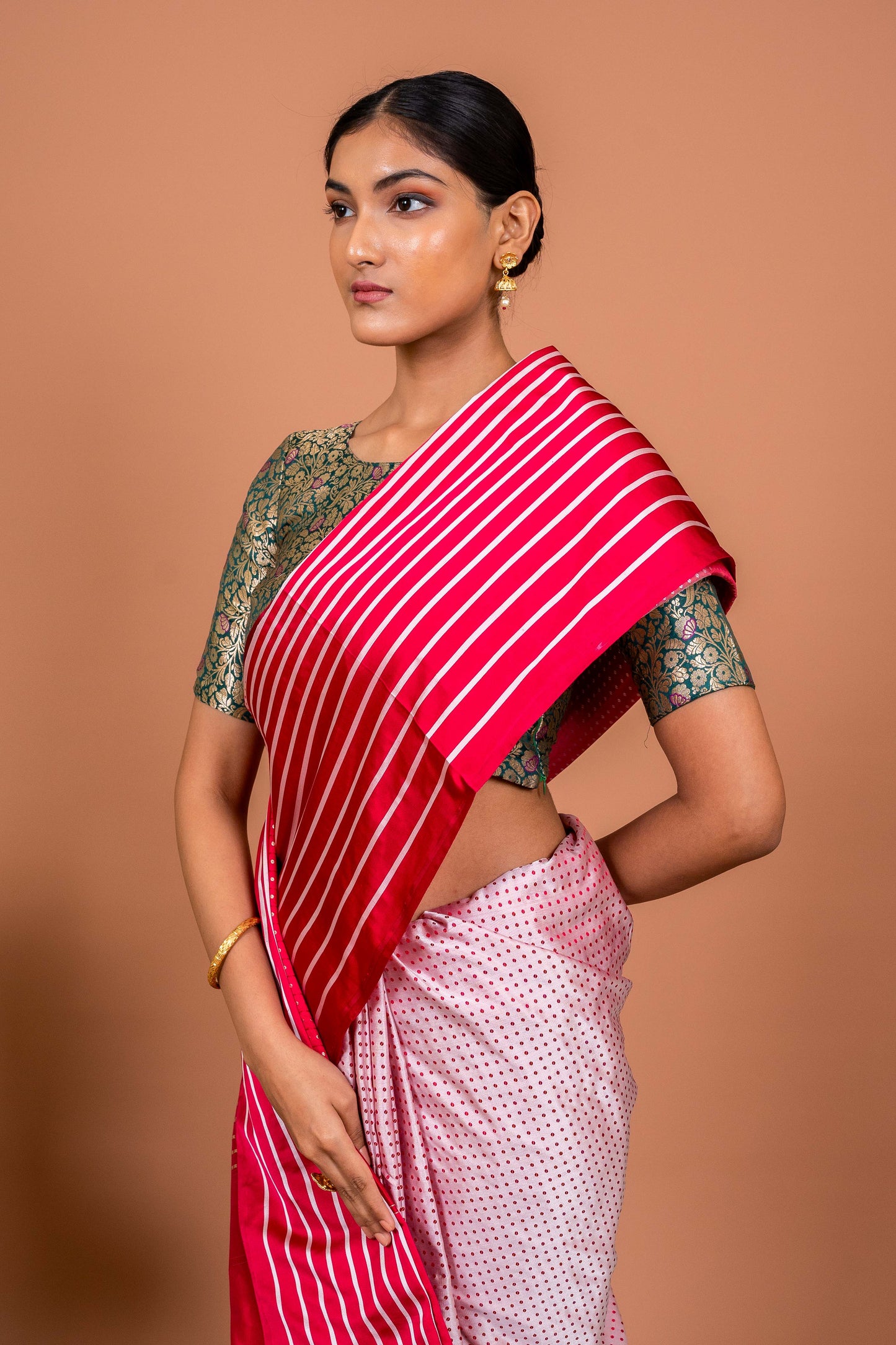 Dot and Stripes Handwoven Banaras Saree