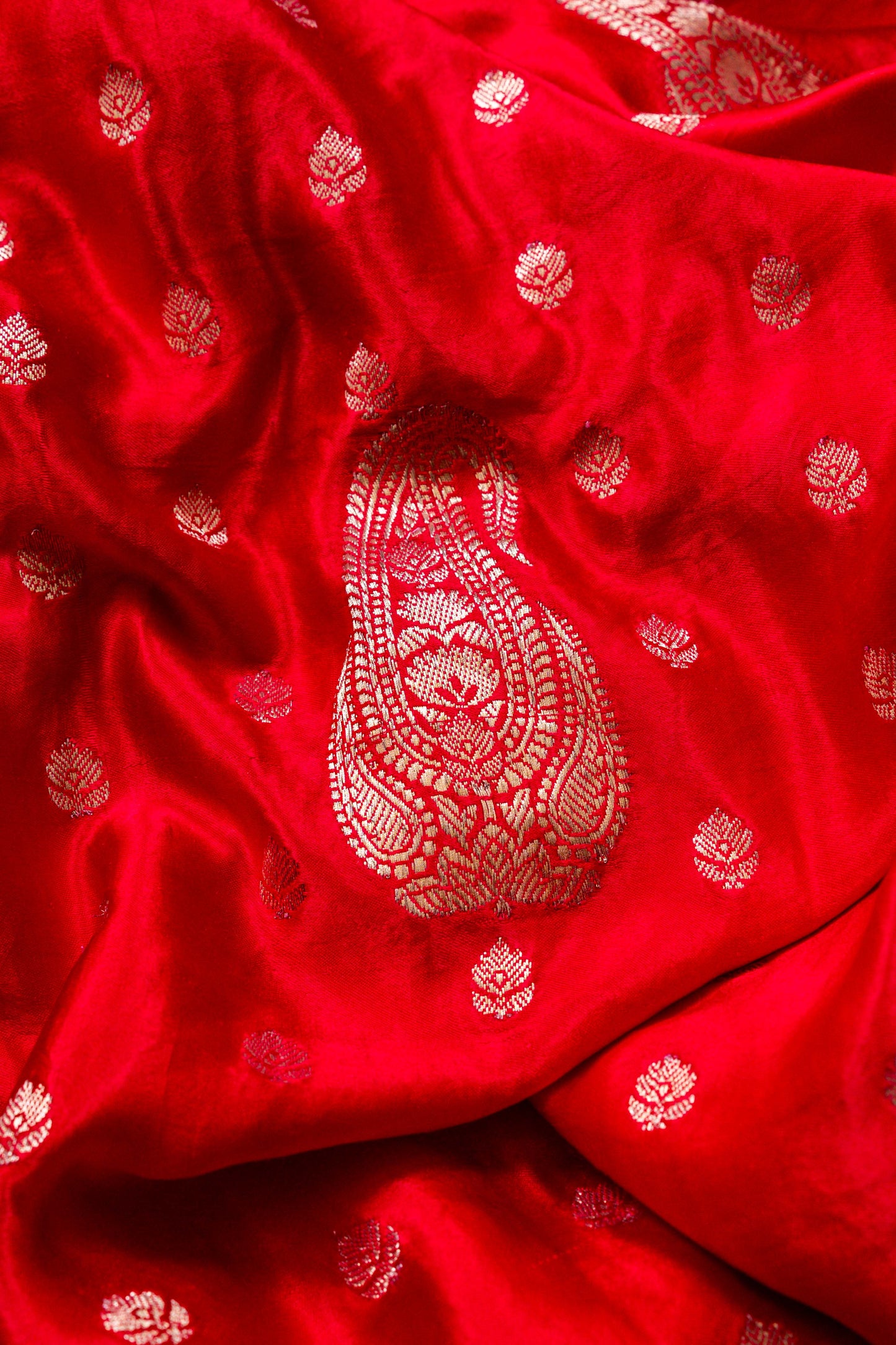 Sabhya Boota Handwoven Banaras Saree