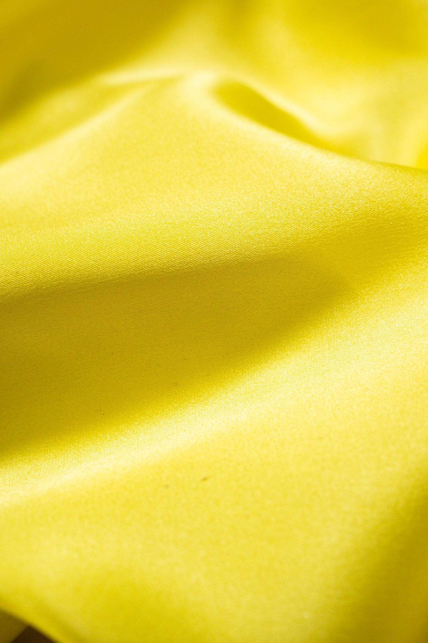 Nitya Handwoven Banaras Saree