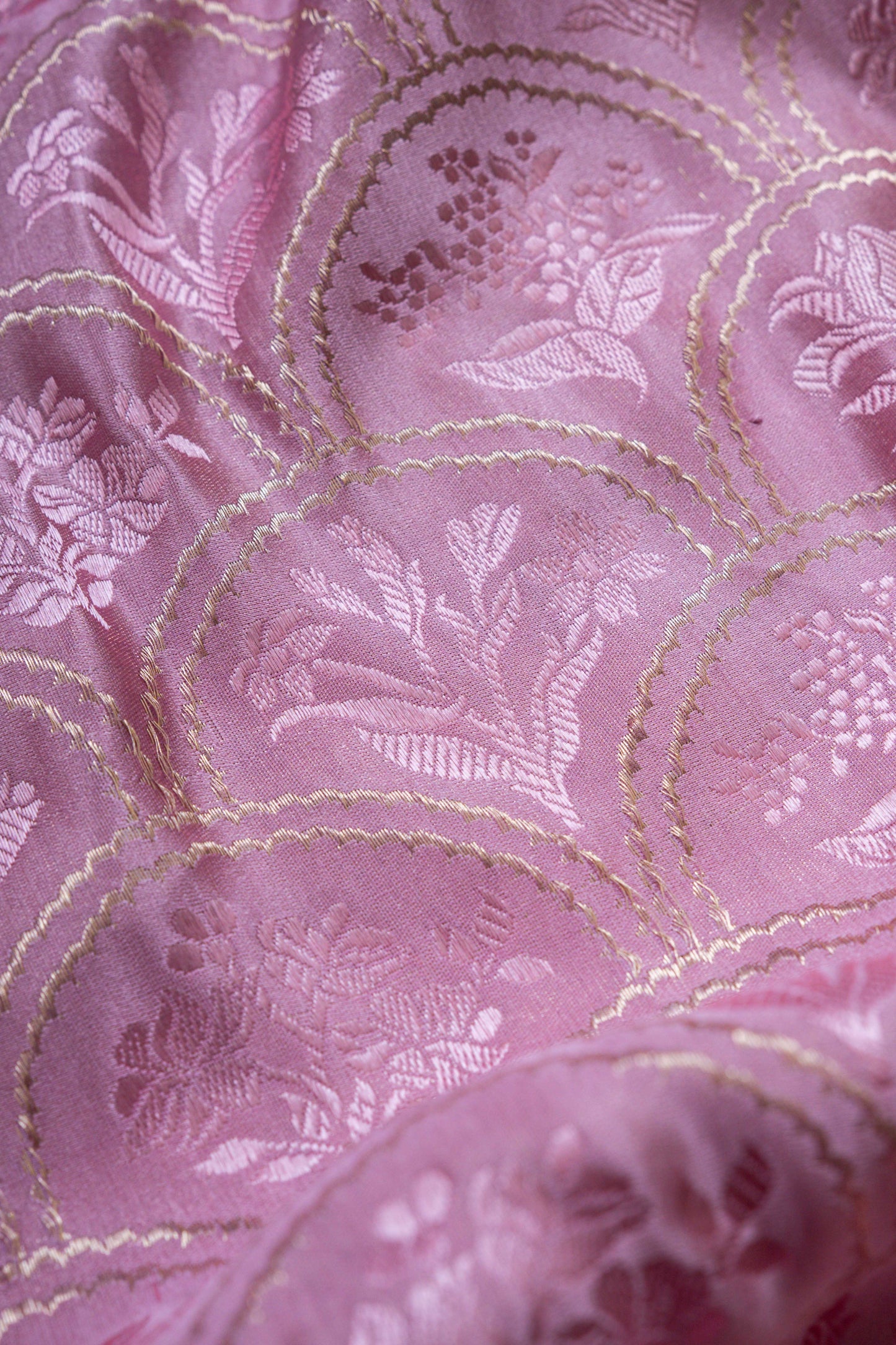 Vana Tanchhoi Handwoven Banaras Saree