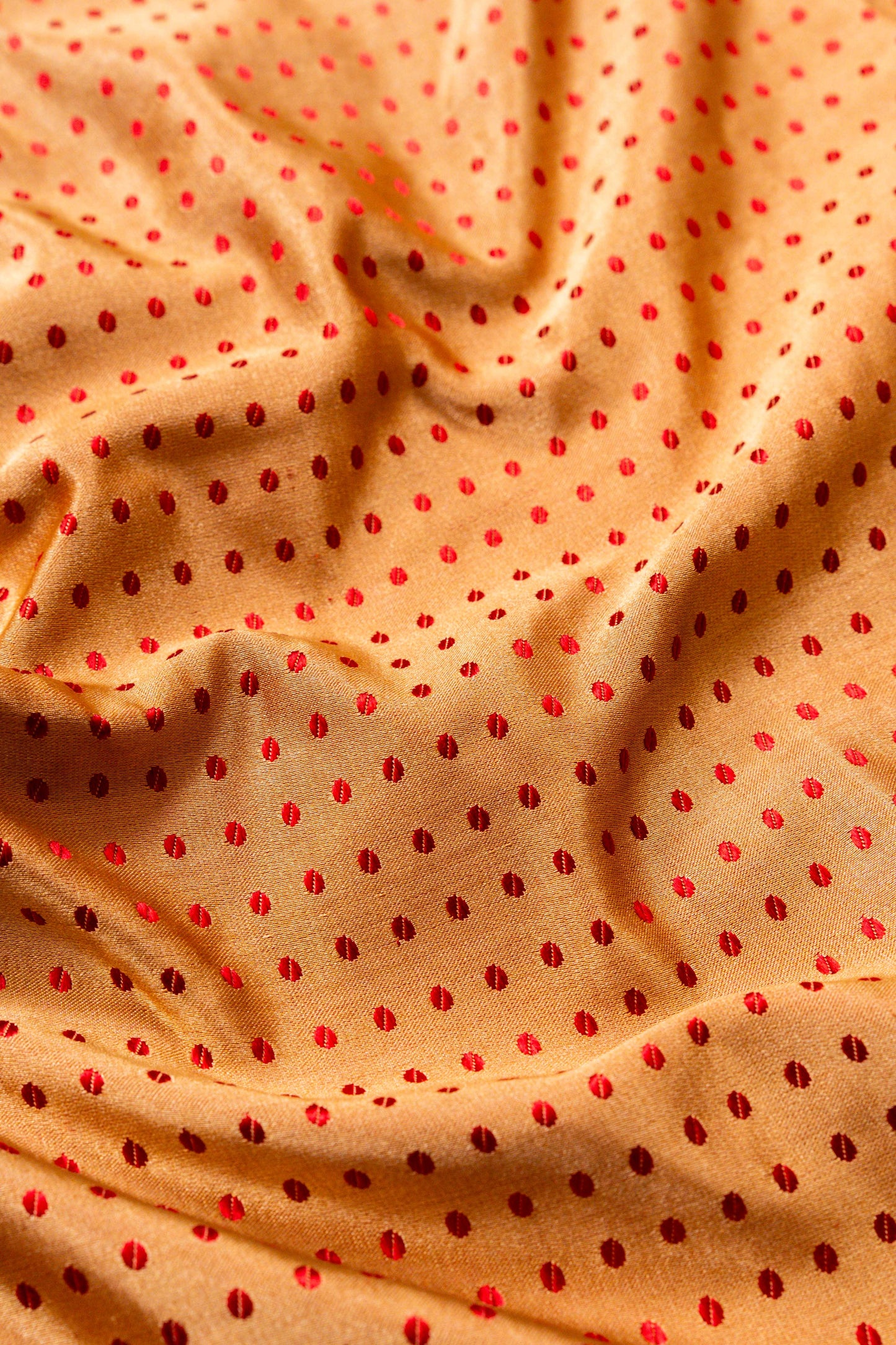 Dot and Stripes Handwoven Banaras Saree