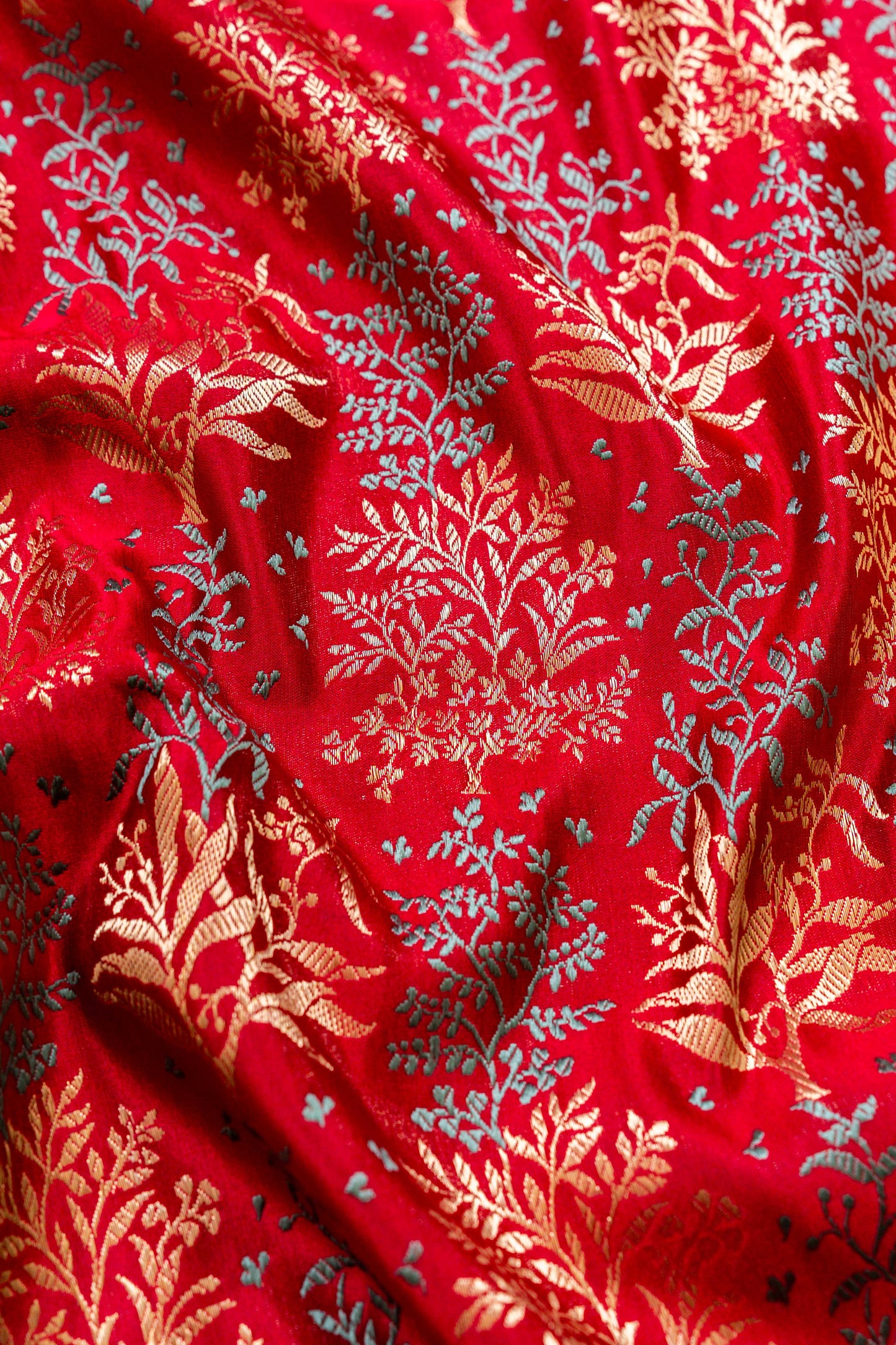 Vana tanchhoi Handwoven Banaras Saree