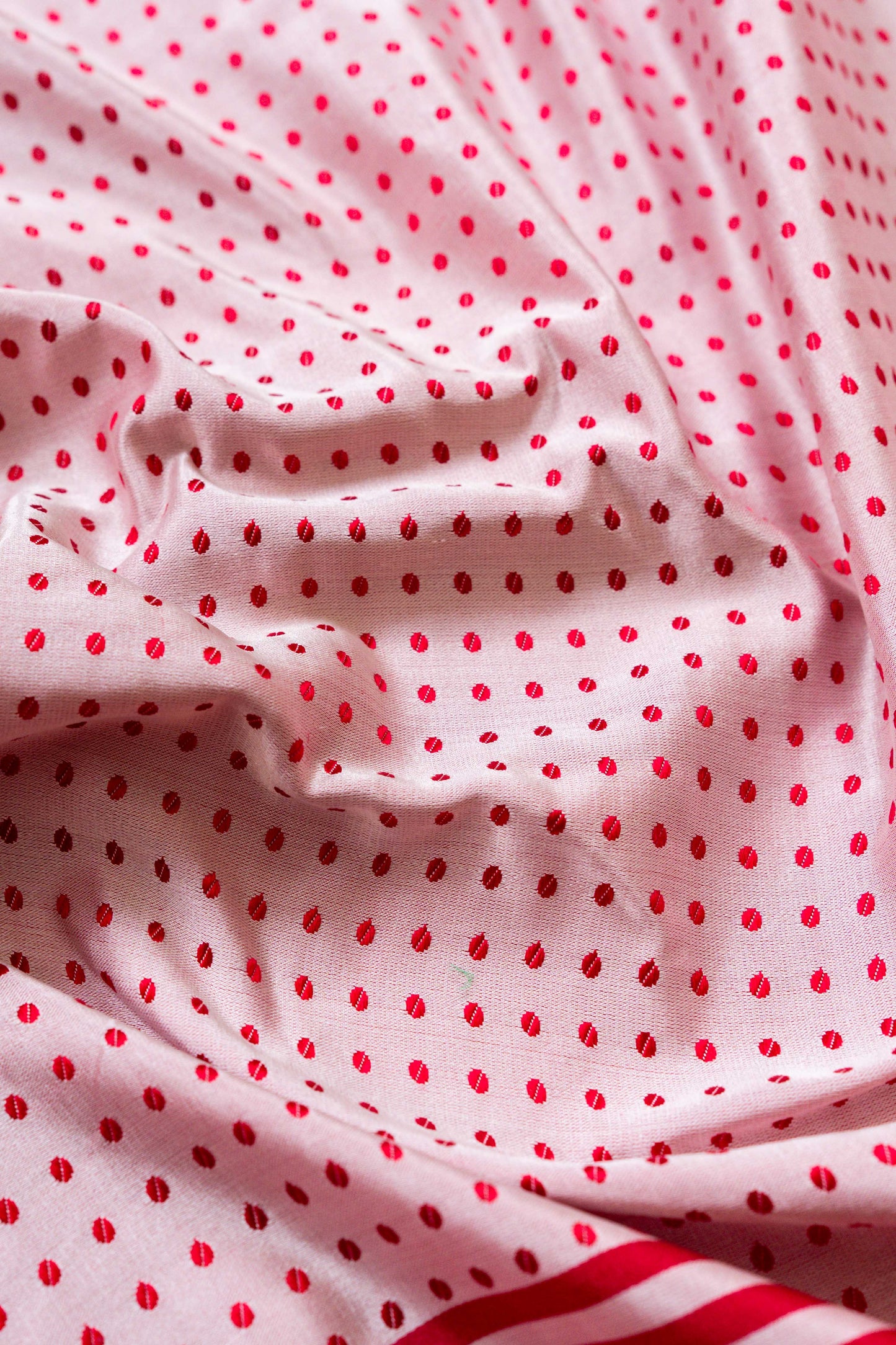 Dot and Stripes Handwoven Banaras Saree