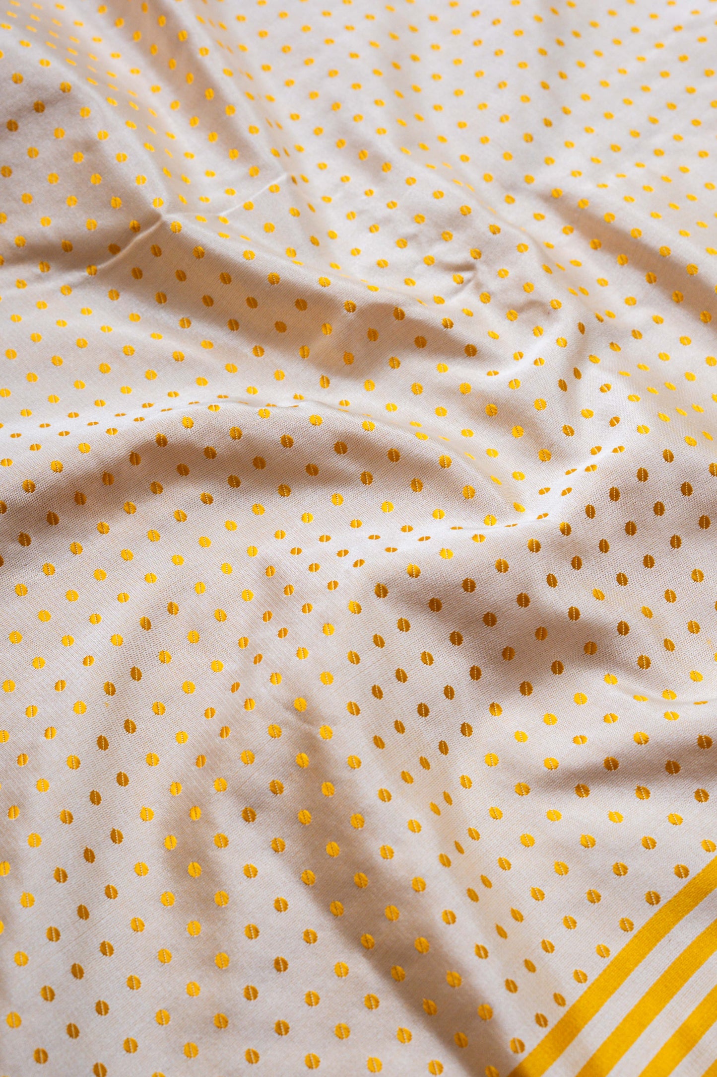 Dot and Stripes Handwoven Banaras Saree