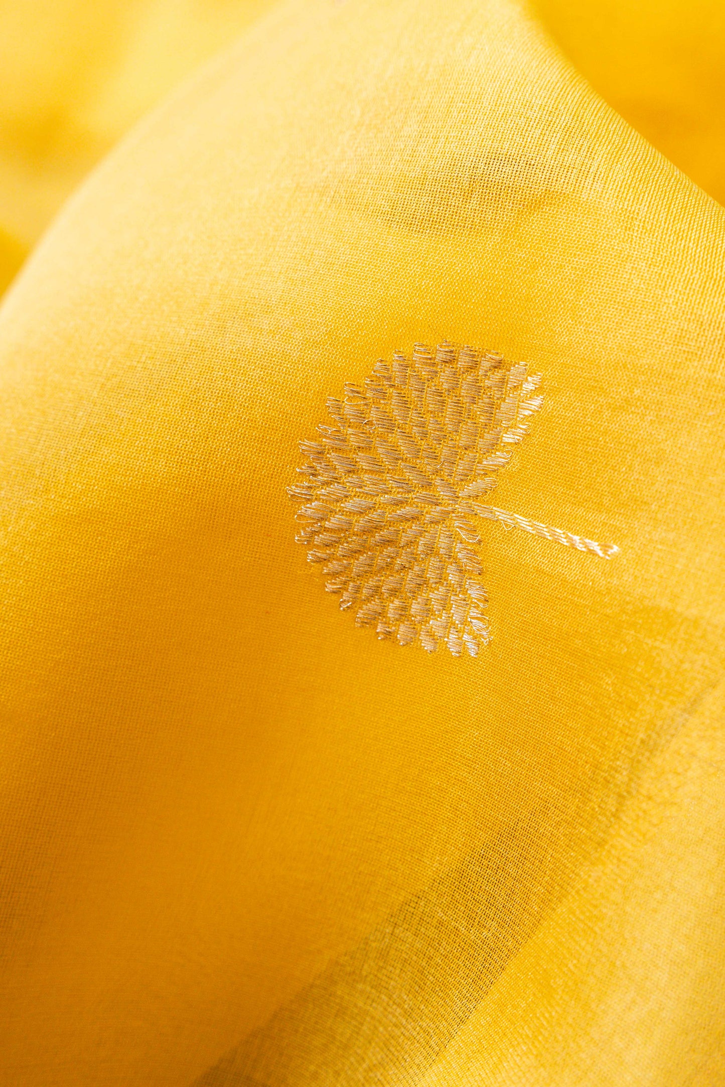 Kora Kataan Jaal Handwoven Banaras Saree