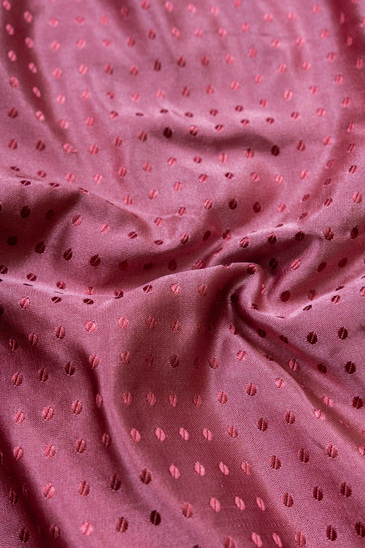 Dot and Stripes Handwoven Banaras Saree