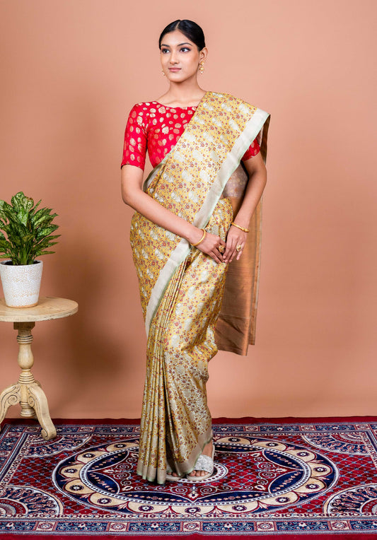 Nayan Handwoven Banaras Saree