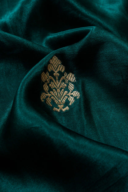 Aakriti Handwoven Banaras Saree