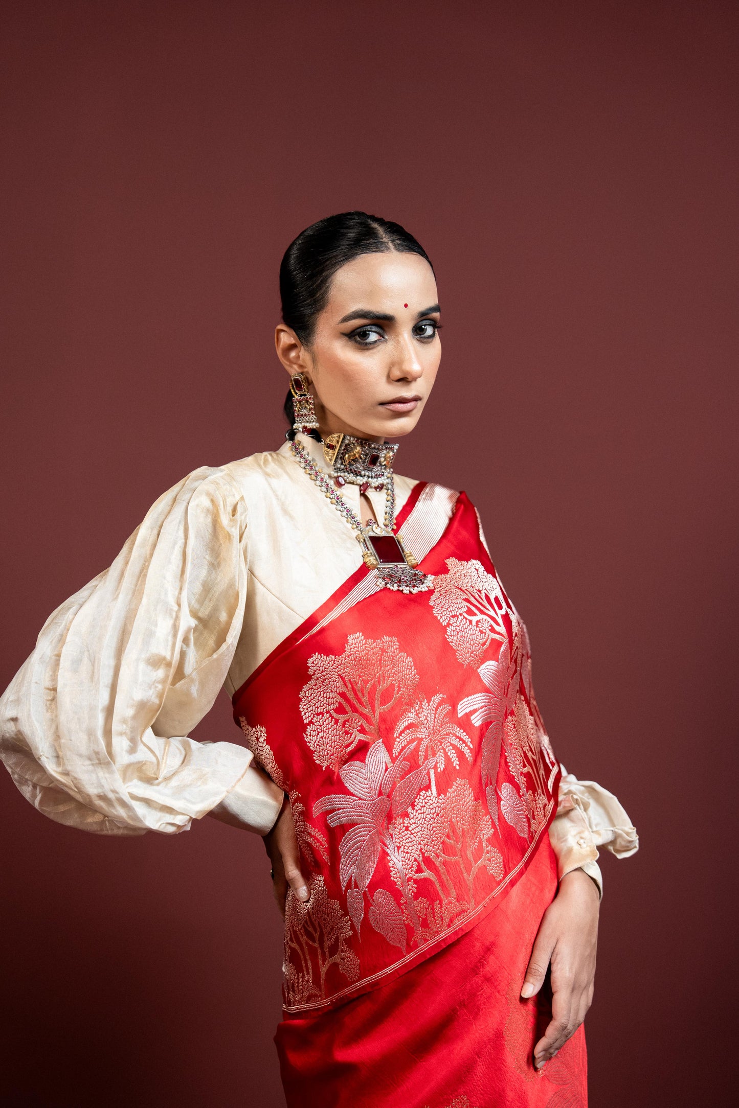 Vriksh: Rooted in tradition, Banarasi Handwoven Saare