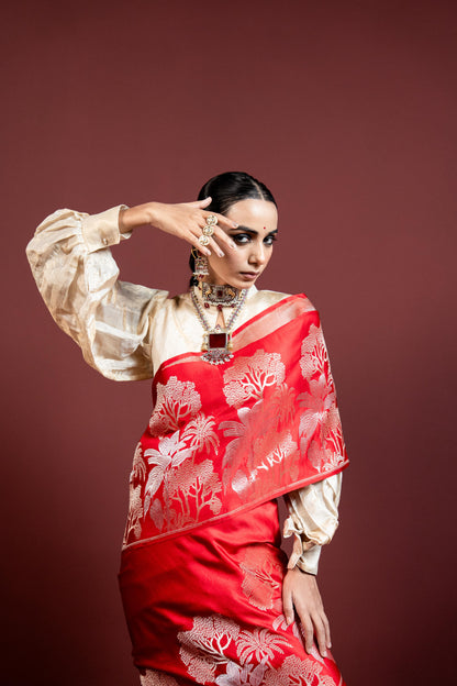 Vriksh: Rooted in tradition, Banarasi Handwoven Saare