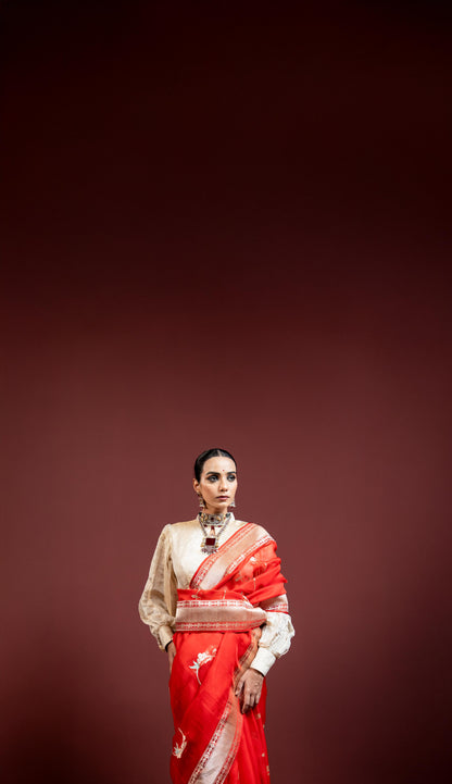 Hans, Banarasi Handwoven Saare