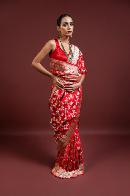 Sona: A celebration woven in gold.